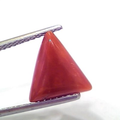 3.57 Ct 5.95 Ratti Natural Italian Triangle Red Coral Moonga Gemstone