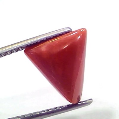 3.57 Ct 5.95 Ratti Natural Italian Triangle Red Coral Moonga Gemstone