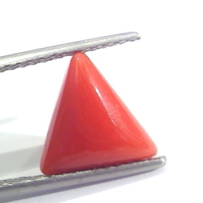 3.56 Ct 5.9 Ratti Natural Italian Triangle Red Coral Moonga Gemstone