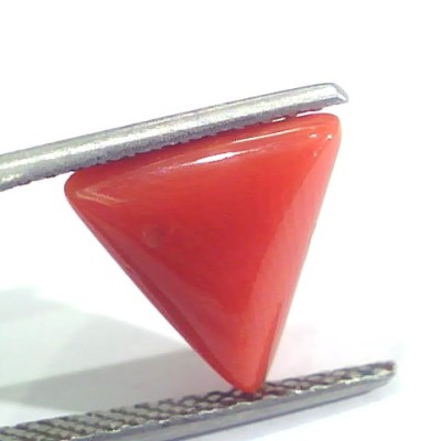 3.56 Ct 5.9 Ratti Natural Italian Triangle Red Coral Moonga Gemstone