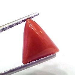3.69 Ct 4.05 Ratti Natural Italian Triangle Red Coral Moonga Gemstone