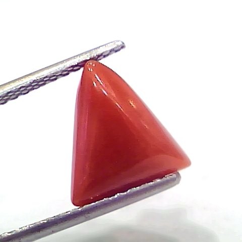 3.69 Ct 4.05 Ratti Natural Italian Triangle Red Coral Moonga Gemstone