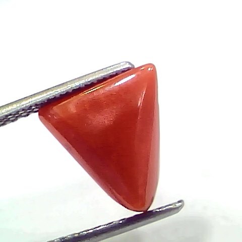 3.69 Ct 4.05 Ratti Natural Italian Triangle Red Coral Moonga Gemstone
