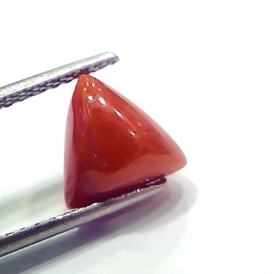 3.65 Ct 6.08 Ratti Natural Italian Triangle Red Coral Moonga Gemstone