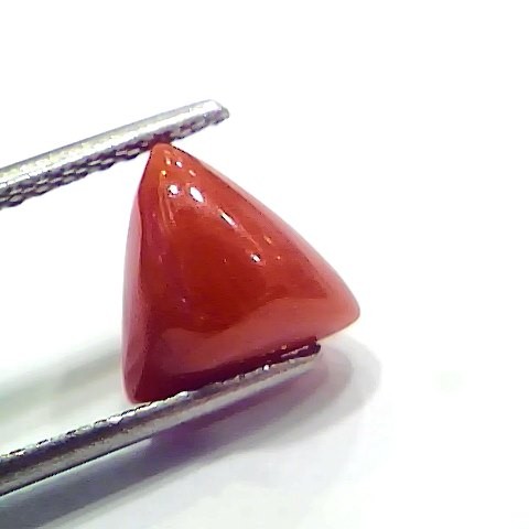 3.65 Ct 6.08 Ratti Natural Italian Triangle Red Coral Moonga Gemstone