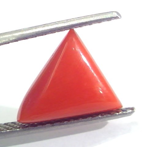 3.64 Ct 6 Ratti Natural Italian Triangle Red Coral Moonga Gemstone