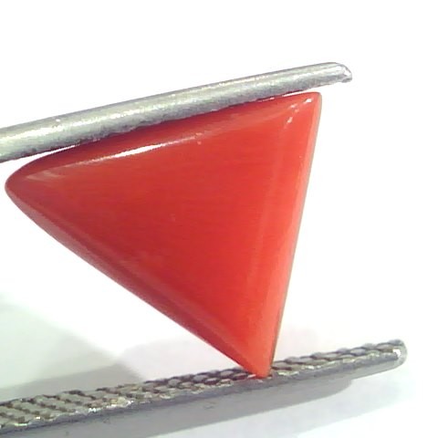 3.64 Ct 6 Ratti Natural Italian Triangle Red Coral Moonga Gemstone