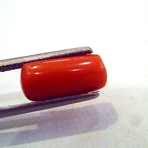 3.64 Carat Natural Red Coral italian Gemstone,Real Moonga