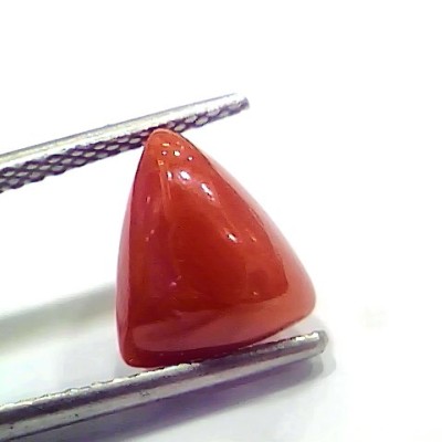 3.75 Ct 6.25 Ratti Natural Italian Triangle Red Coral Moonga Gemstone