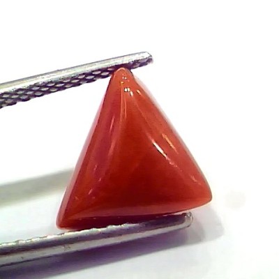 3.74 Ct 4.10 Ratti Natural Italian Triangle Red Coral Moonga Gemstone