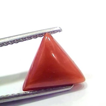 3.66 Ct 4.02 Ratti Natural Italian Triangle Red Coral Moonga Gemstone