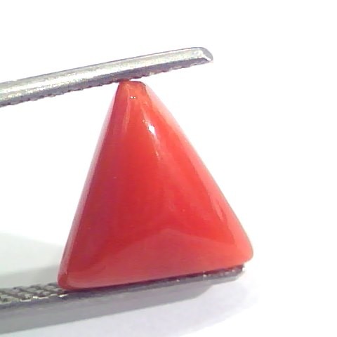 3.68 Ct 6.1 Ratti Natural Italian Triangle Red Coral Moonga Gemstone