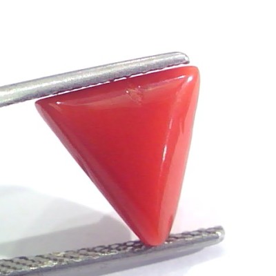 3.68 Ct 6.1 Ratti Natural Italian Triangle Red Coral Moonga Gemstone