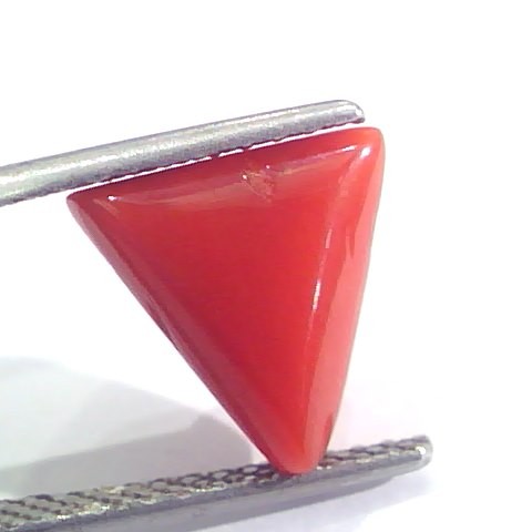 3.68 Ct 6.1 Ratti Natural Italian Triangle Red Coral Moonga Gemstone
