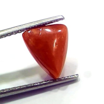 3.75 Ct 6.25 Ratti Natural Italian Triangle Red Coral Moonga Gemstone