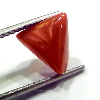 3.74 Ct 4.10 Ratti Natural Italian Triangle Red Coral Moonga Gemstone