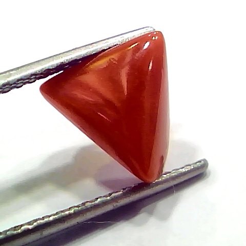 3.74 Ct 4.10 Ratti Natural Italian Triangle Red Coral Moonga Gemstone