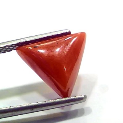 3.66 Ct 4.02 Ratti Natural Italian Triangle Red Coral Moonga Gemstone
