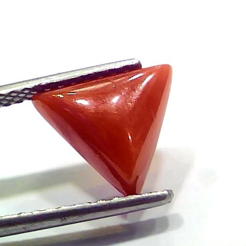 3.66 Ct 4.02 Ratti Natural Italian Triangle Red Coral Moonga Gemstone