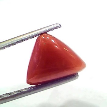 3.80 Ct 4.17 Ratti Natural Italian Triangle Red Coral Moonga Gemstone