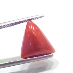 3.74 Ct 4.10 Ratti Natural Italian Triangle Red Coral Moonga Gemstone