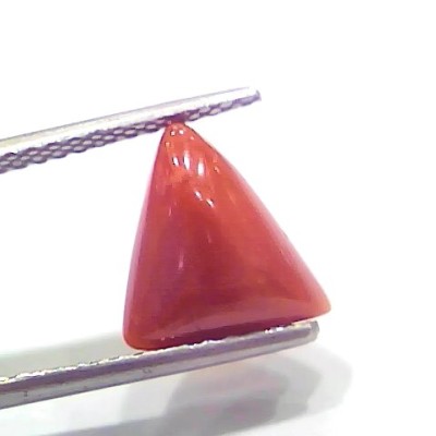 3.74 Ct 4.10 Ratti Natural Italian Triangle Red Coral Moonga Gemstone