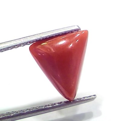3.74 Ct 4.10 Ratti Natural Italian Triangle Red Coral Moonga Gemstone