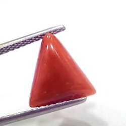 3.90 Ct 4.28 Ratti Natural Italian Triangle Red Coral Moonga Gemstone