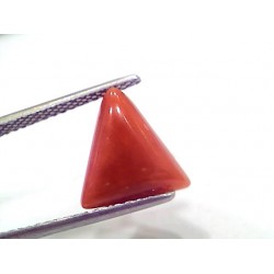 3.90 Ct 4.28 Ratti Natural Italian Triangle Red Coral Moonga Gemstone