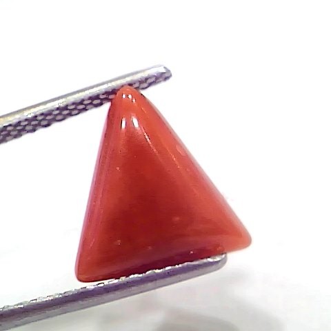 3.90 Ct 4.28 Ratti Natural Italian Triangle Red Coral Moonga Gemstone