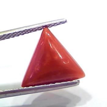 3.81 Ct 4.18 Ratti Natural Italian Triangle Red Coral Moonga Gemstone