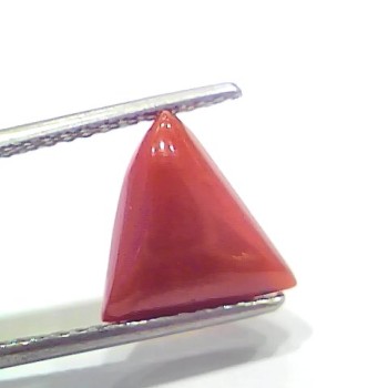 3.78 Ct 4.15 Ratti Natural Italian Triangle Red Coral Moonga Gemstone