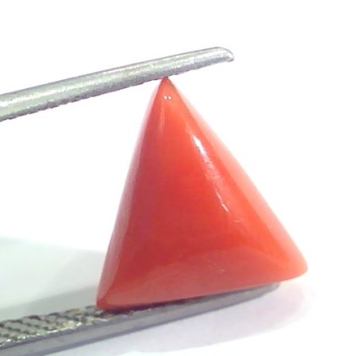 3.77 Ct 6.25 Ratti Natural Italian Triangle Red Coral Moonga Gemstone