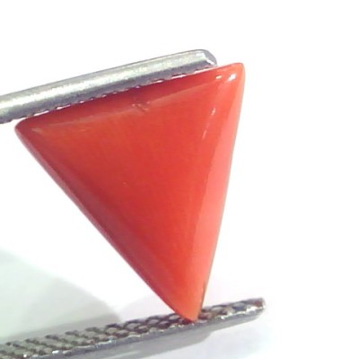 3.77 Ct 6.25 Ratti Natural Italian Triangle Red Coral Moonga Gemstone