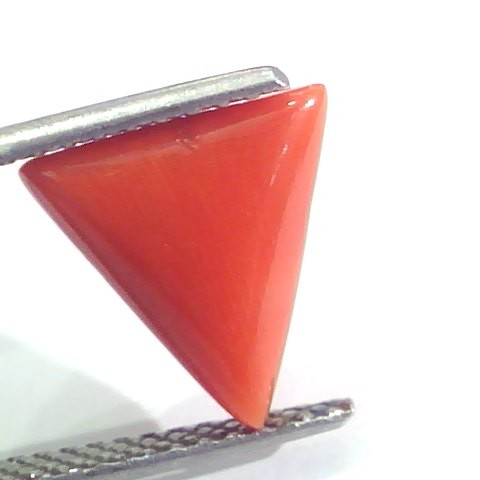 3.77 Ct 6.25 Ratti Natural Italian Triangle Red Coral Moonga Gemstone