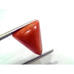3.90 Ct 4.28 Ratti Natural Italian Triangle Red Coral Moonga Gemstone