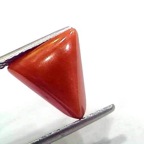 3.90 Ct 4.28 Ratti Natural Italian Triangle Red Coral Moonga Gemstone