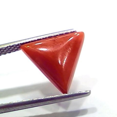 3.81 Ct 4.18 Ratti Natural Italian Triangle Red Coral Moonga Gemstone