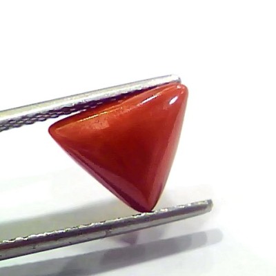 3.76 Ct 4.13 Ratti Natural Italian Triangle Red Coral Moonga Gemstone