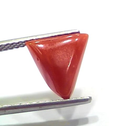 3.78 Ct 4.15 Ratti Natural Italian Triangle Red Coral Moonga Gemstone