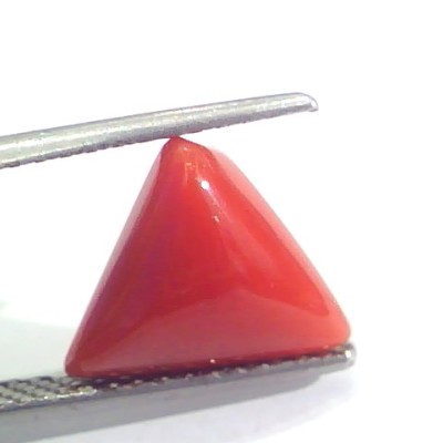 3.60 Ct 6.5 Ratti Natural Italian Triangle Red Coral Moonga Gemstone