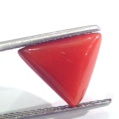 3.60 Ct 6.5 Ratti Natural Italian Triangle Red Coral Moonga Gemstone