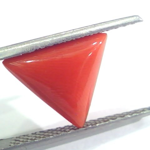 3.80 Ct 6.5 Ratti Natural Italian Triangle Red Coral Moonga Gems