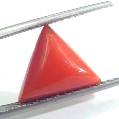 3.80 Ct 6.5 Ratti Natural Italian Triangle Red Coral Moonga Gems