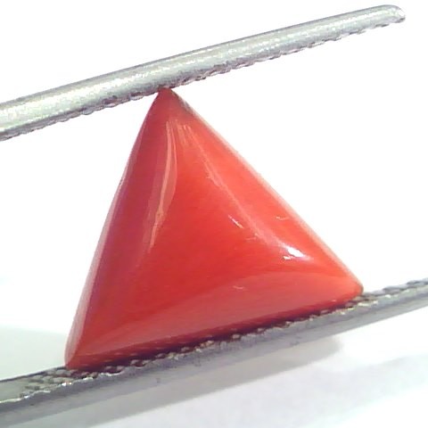 3.80 Ct 6.5 Ratti Natural Italian Triangle Red Coral Moonga Gems