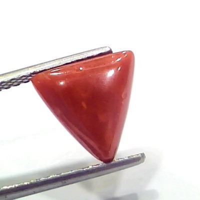 3.85 Ct 4.23 Ratti Natural Italian Triangle Red Coral Moonga Gemstone
