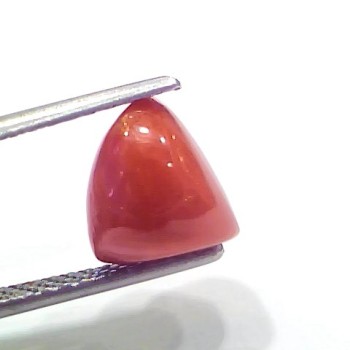 3.88 Ct 4.26 Ratti Natural Italian Triangle Red Coral Moonga Gemstone