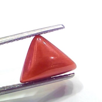 3.91 Ct 4.29 Ratti Natural Italian Triangle Red Coral Moonga Gemstone