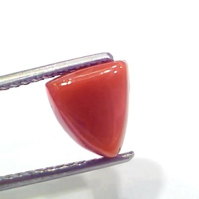 3.88 Ct 4.26 Ratti Natural Italian Triangle Red Coral Moonga Gemstone