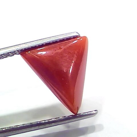 3.86 Ct 4.24 Ratti Natural Italian Triangle Red Coral Moonga Gemstone
